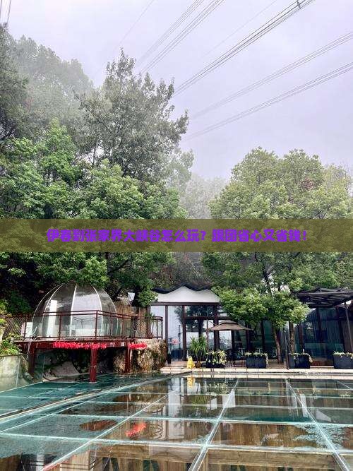 伊春到张家界大峡谷团体旅游