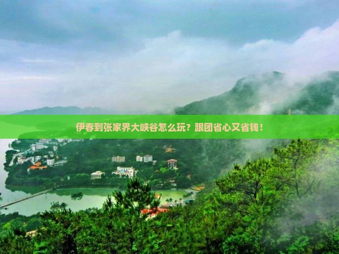 伊春到张家界大峡谷团体旅游