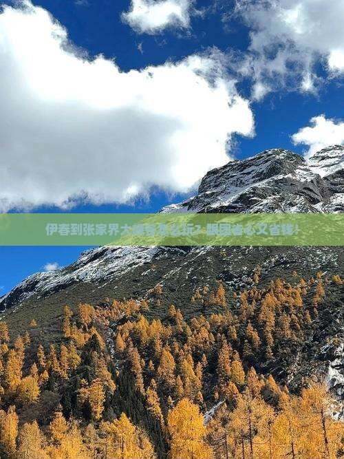 伊春到张家界大峡谷团体旅游