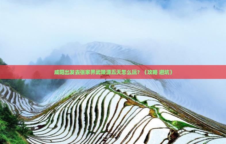 咸阳到张家界武陵源五日游