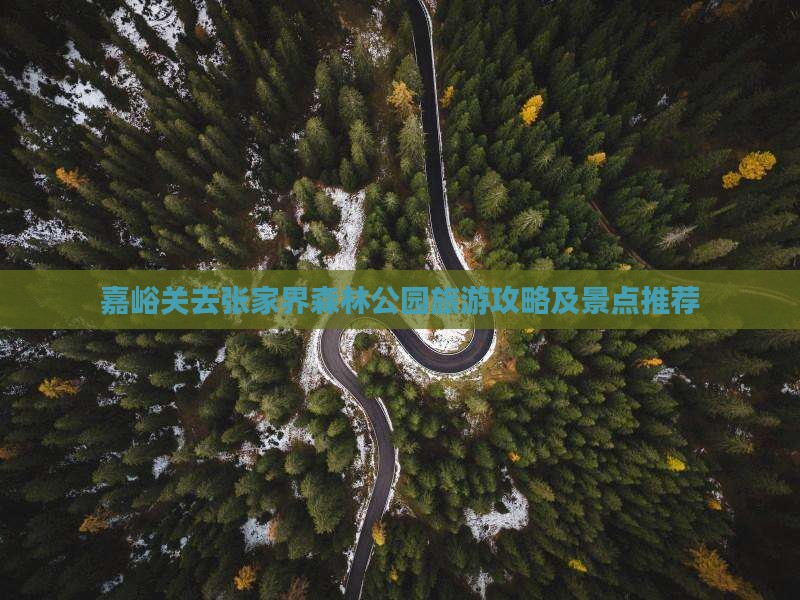 嘉峪关去张家界森林公园个人游