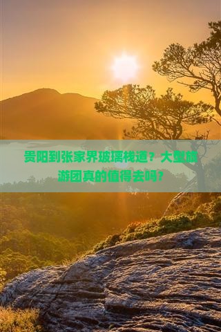 贵阳到张家界玻璃栈道大型旅游团