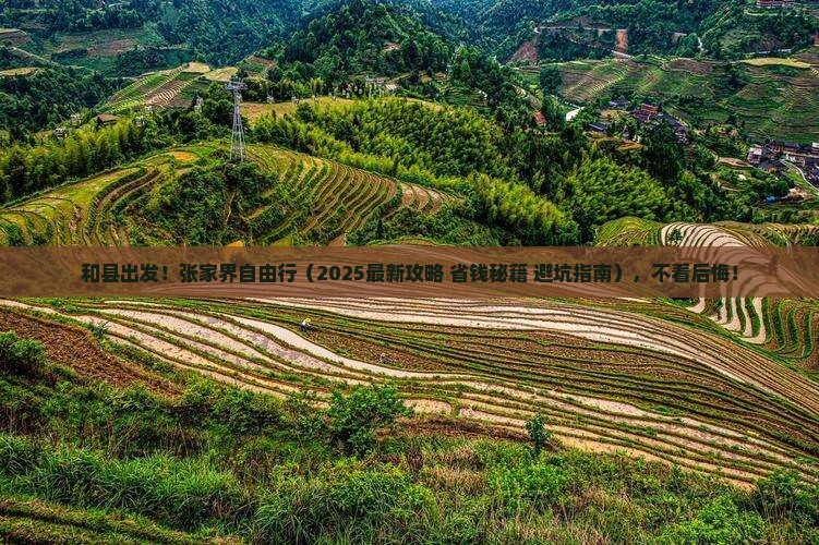 和县到张家界自由团