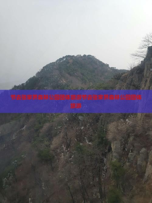 国庆节去张家界森林公园团体旅游