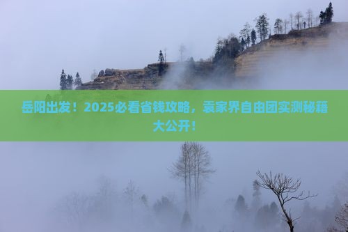 岳阳去张家界袁家界自由团