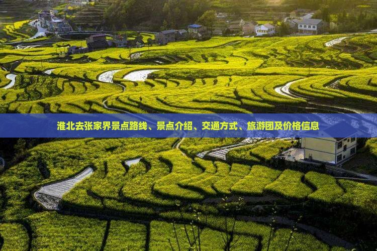 淮北去张家界景点