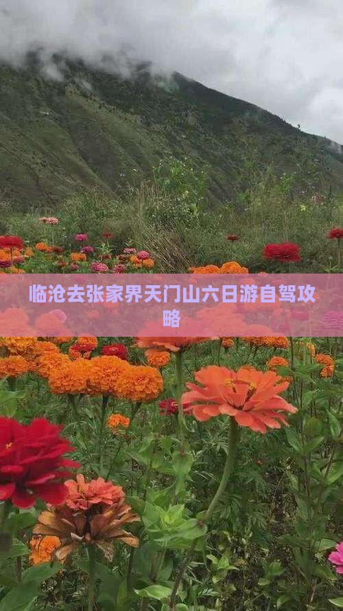 临沧去张家界天门山六日游