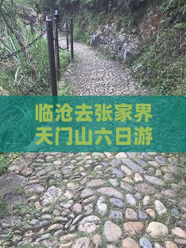 临沧去张家界天门山六日游