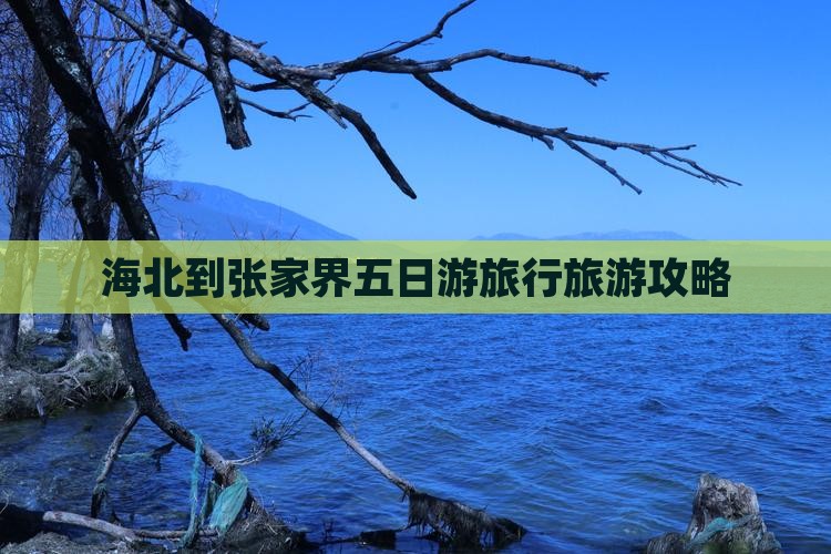 海北到张家界五日游