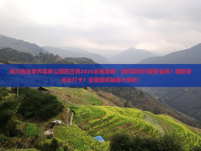 铜川去张家界森林公园四日游