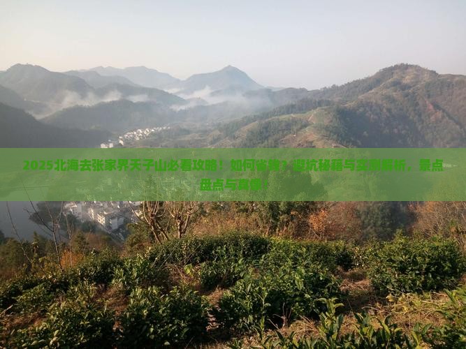北海去张家界天子山景点