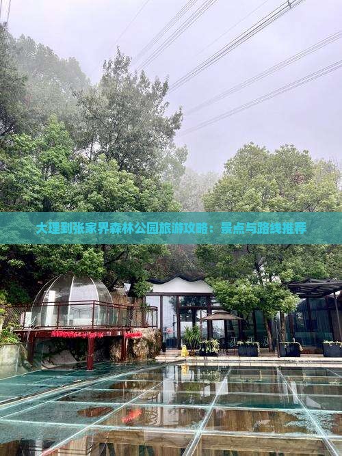 大理到张家界森林公园旅游攻略：景点与路线推荐