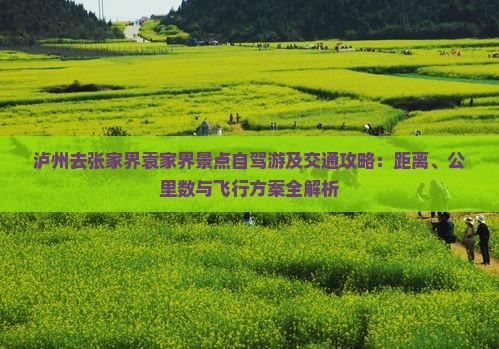 泸州去张家界袁家界景点自驾游及交通攻略：距离、公里数与飞行方案全解析