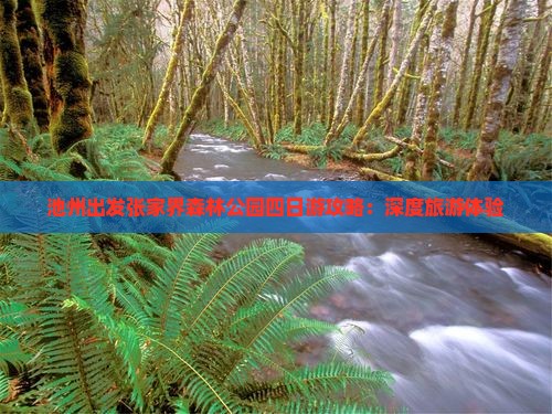 池州出发张家界森林公园四日游攻略：深度旅游体验