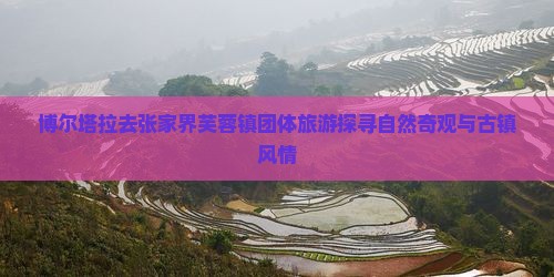 博尔塔拉去张家界芙蓉镇团体旅游探寻自然奇观与古镇风情