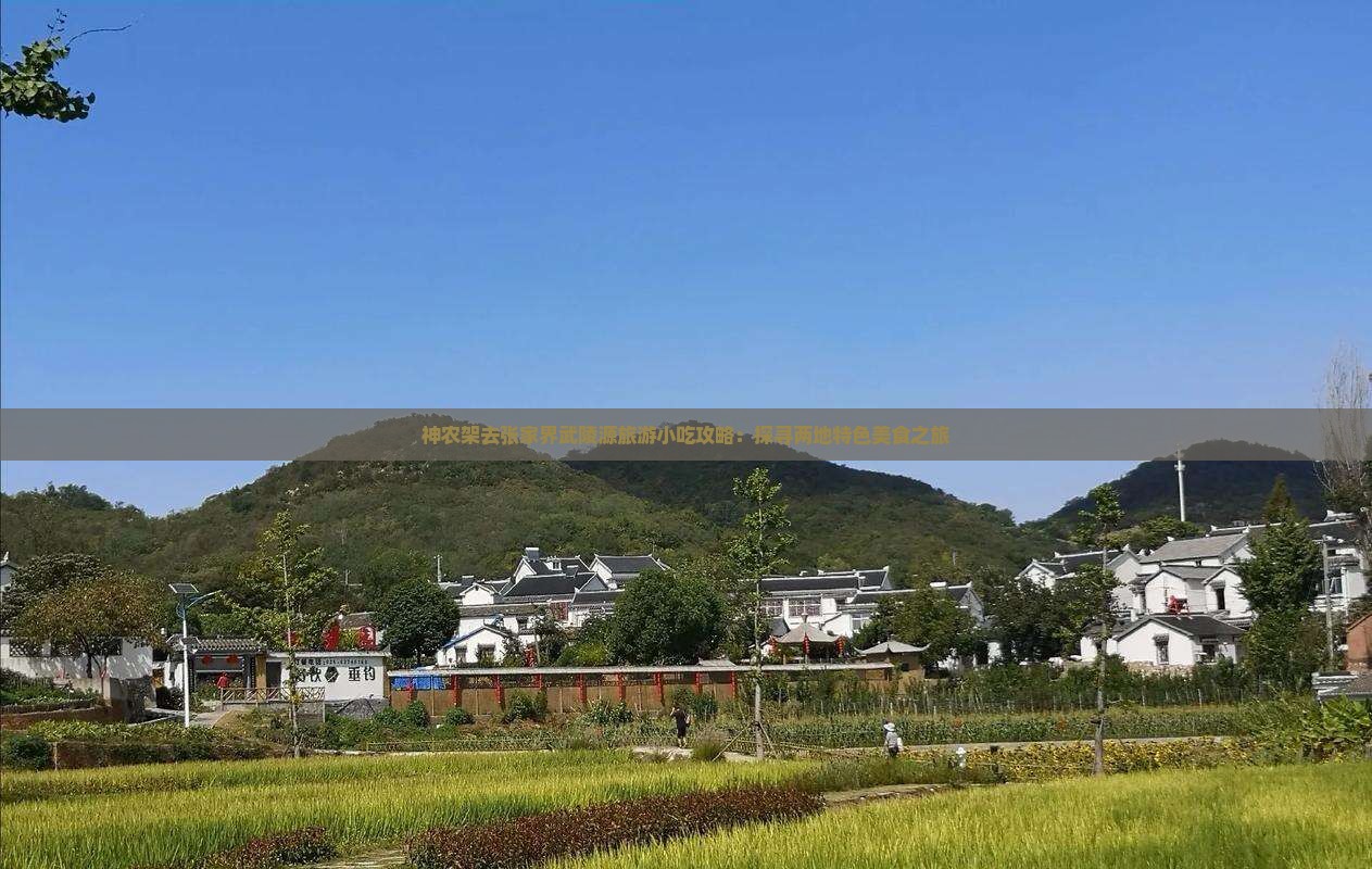 神农架去张家界武陵源旅游小吃攻略：探寻两地特色美食之旅