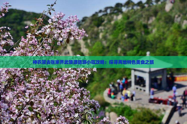 神农架去张家界武陵源旅游小吃攻略：探寻两地特色美食之旅