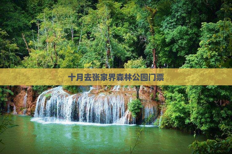 十月去张家界森林公园门票