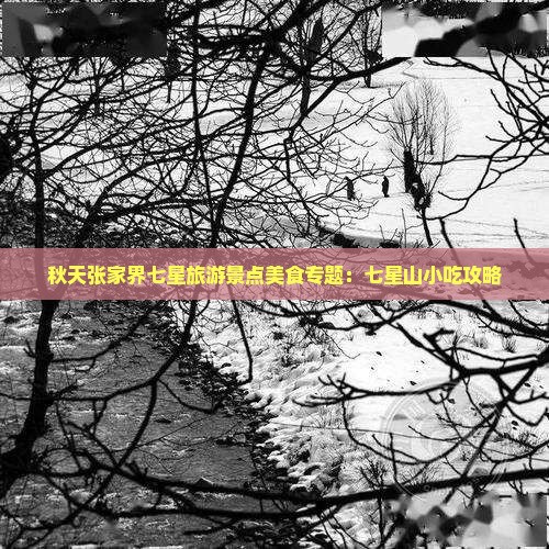 秋天张家界七星旅游景点美食专题：七星山小吃攻略