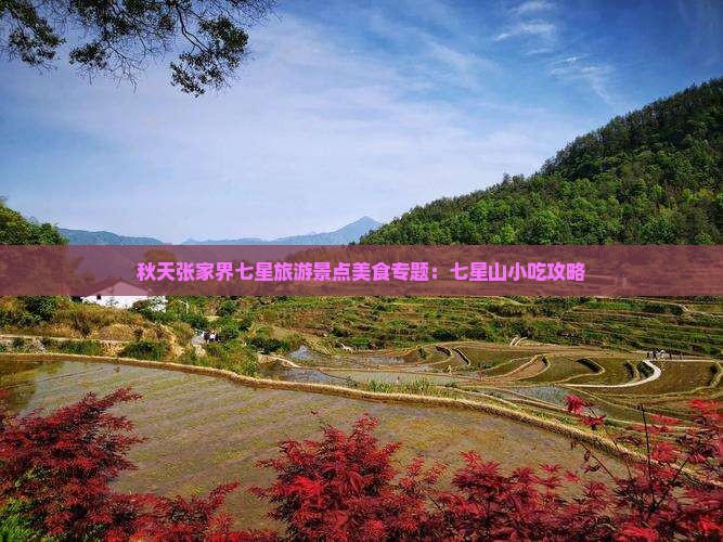 秋天张家界七星旅游景点美食专题：七星山小吃攻略