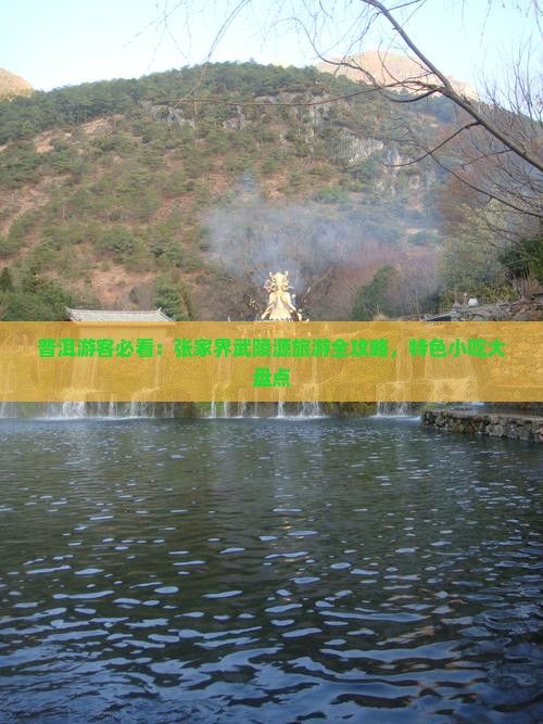 普洱游客必看：张家界武陵源旅游全攻略，特色小吃大盘点