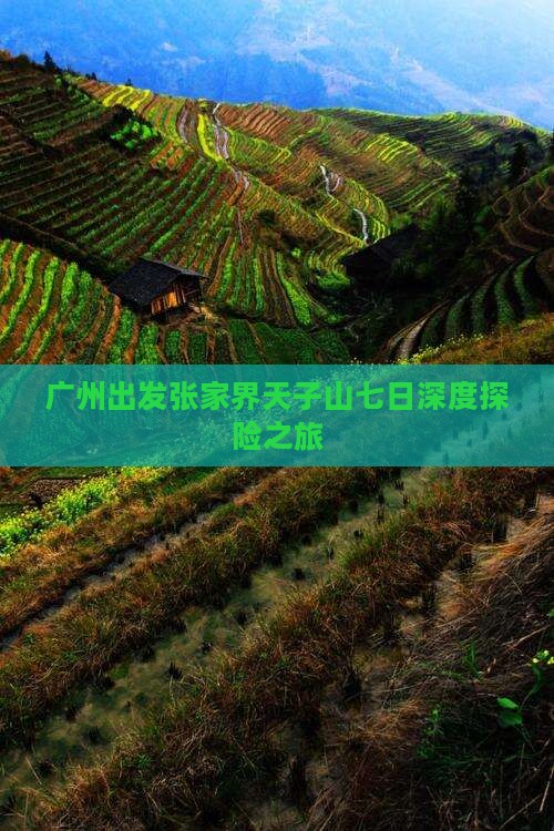 广州出发张家界天子山七日深度探险之旅