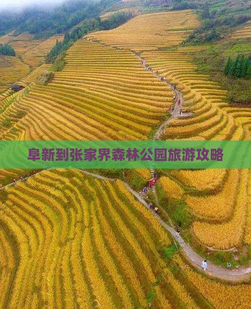 阜新到张家界森林公园旅游攻略