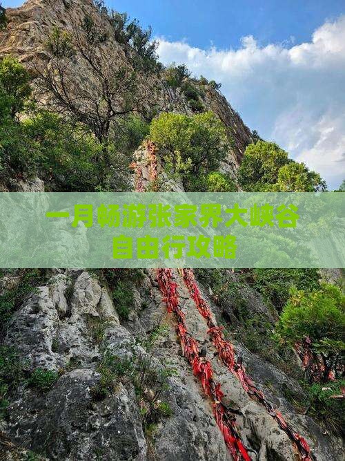 一月畅游张家界大峡谷自由行攻略