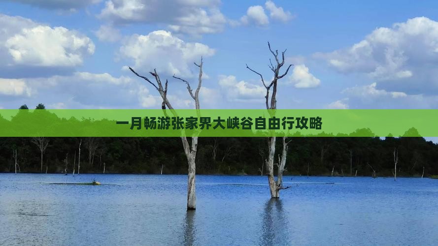 一月畅游张家界大峡谷自由行攻略