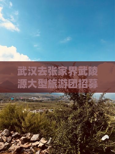 武汉去张家界武陵源大型旅游团招募启事