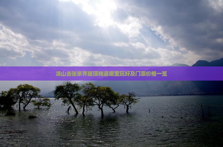 凉山去张家界玻璃栈道哪里玩好及门票价格一览
