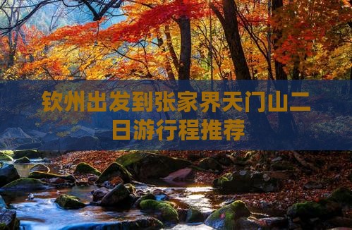 钦州出发到张家界天门山二日游行程推荐