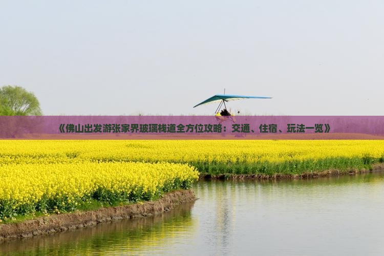《佛山出发游张家界玻璃栈道全方位攻略：交通、住宿、玩法一览》