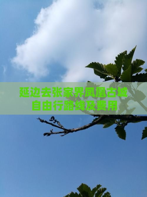 延边去张家界凤凰古城自由行路线及费用