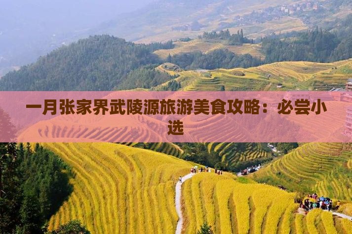 一月张家界武陵源旅游美食攻略：必尝小选