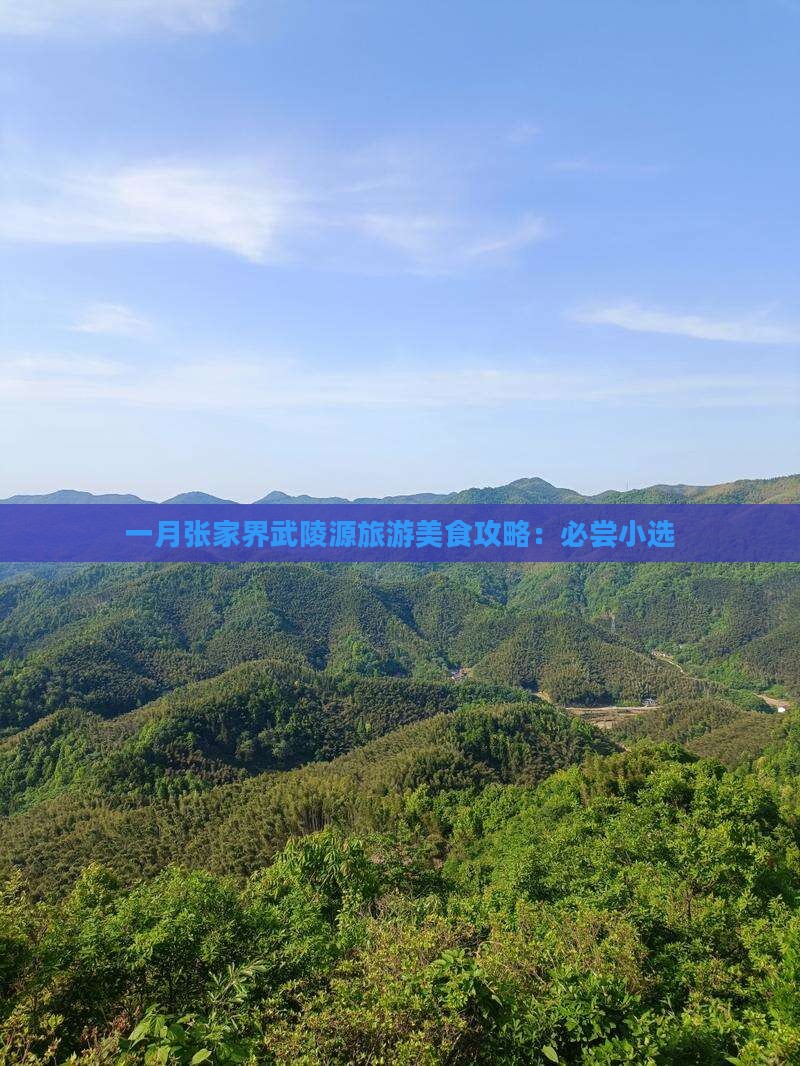 一月张家界武陵源旅游美食攻略：必尝小选