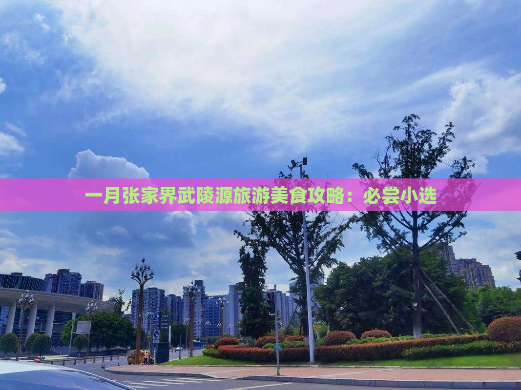 一月张家界武陵源旅游美食攻略：必尝小选