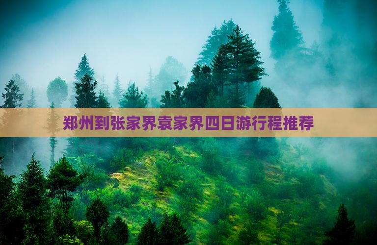 郑州到张家界袁家界四日游行程推荐