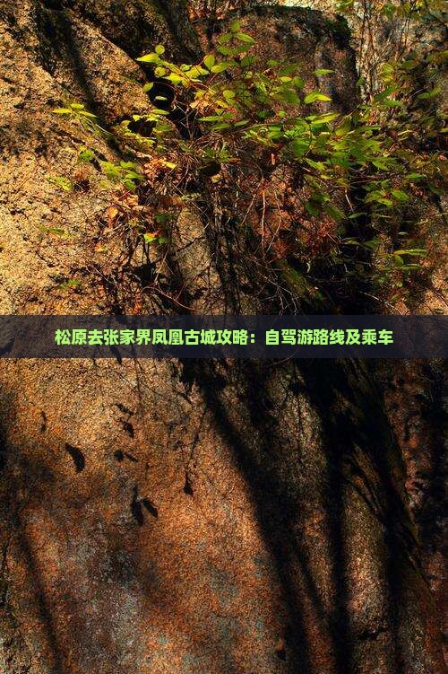 松原去张家界凤凰古城攻略：自驾游路线及乘车