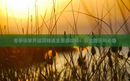 冬季张家界玻璃栈道全景游攻略：安全提示与必备