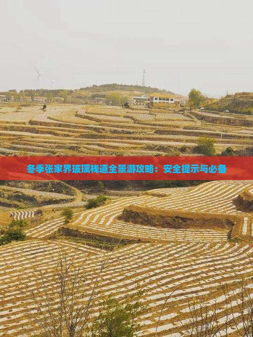 冬季张家界玻璃栈道全景游攻略：安全提示与必备