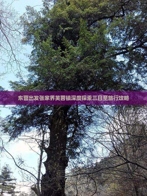 东营出发张家界芙蓉镇深度探索三日至旅行攻略