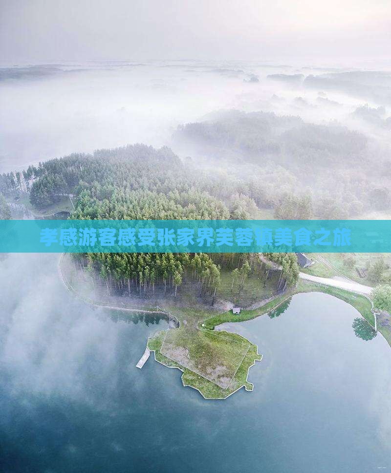 孝感游客感受张家界芙蓉镇美食之旅