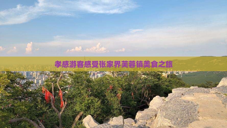 孝感游客感受张家界芙蓉镇美食之旅