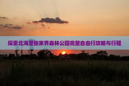 探索北海至张家界森林公园完整自由行攻略与行程