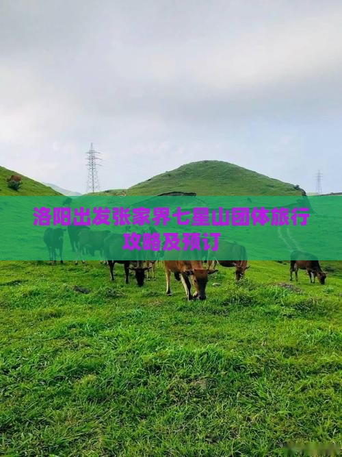 洛阳出发张家界七星山团体旅行攻略及预订