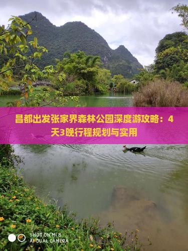 昌都出发张家界森林公园深度游攻略：4天3晚行程规划与实用