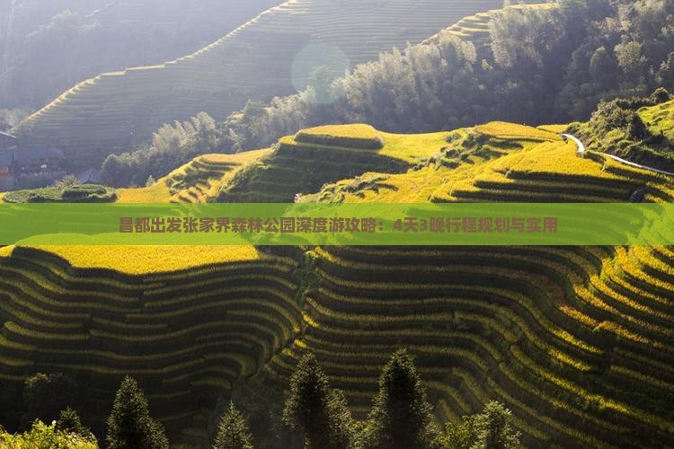 昌都出发张家界森林公园深度游攻略：4天3晚行程规划与实用
