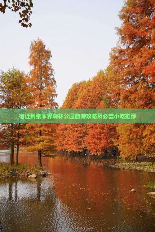 宿迁到张家界森林公园旅游攻略及必尝小吃推荐