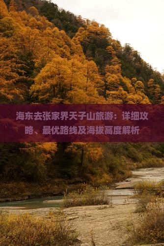 海东去张家界天子山旅游：详细攻略、最优路线及海拔高度解析